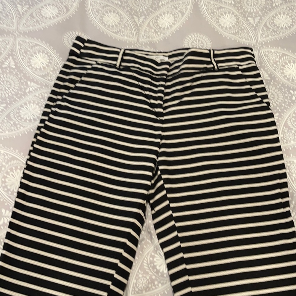 Loft pants